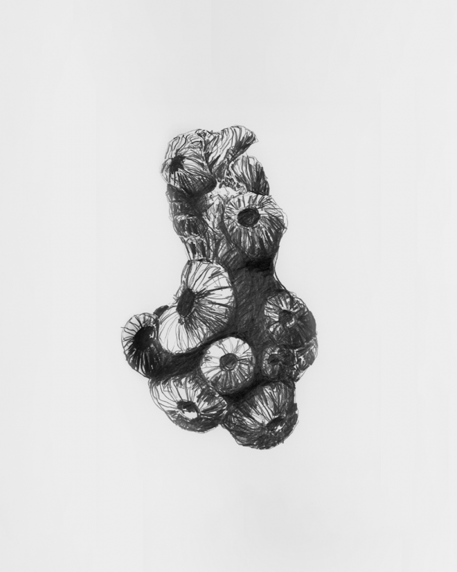 Thomas Autering, Ausschnitt Zeichenserie LIFE, Grafit auf Papier, 2021-2024